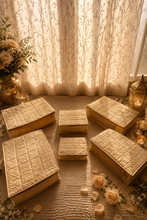 Load image into Gallery viewer, Sooti Wardrobe Organiser Combo - Beige |  1 Saree + 1 Blouse + 1 Petticoat + 1 Lingerie + 1 Jewellery | Wedding Trousseau | Exclusive Collection